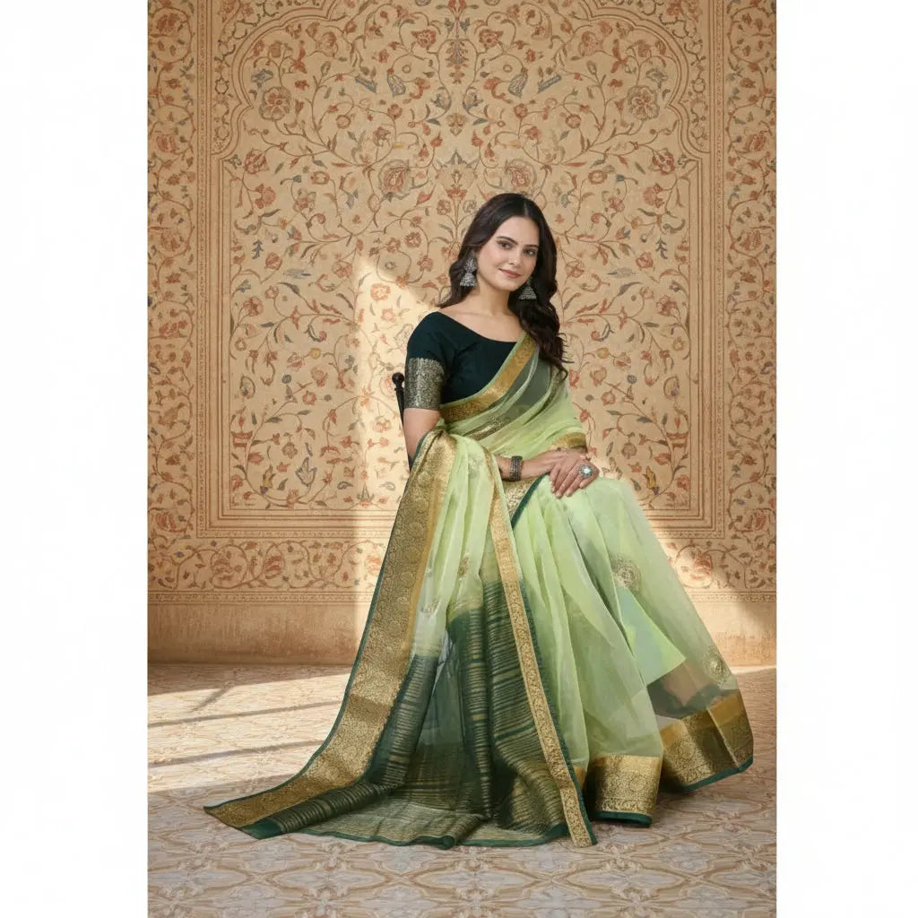 Organza jacquard Embellished Light Green Saree Kashvii